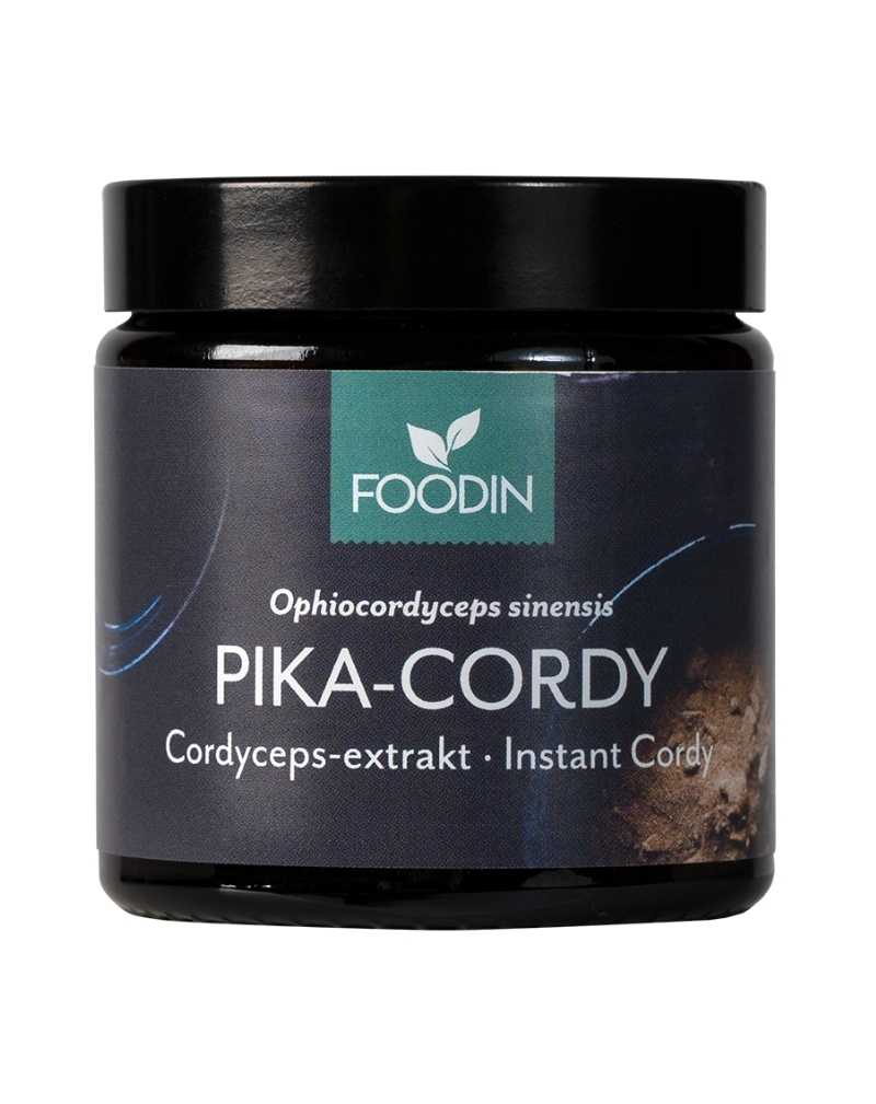 FOODIN Pika-Cordy 40&nbsp;g