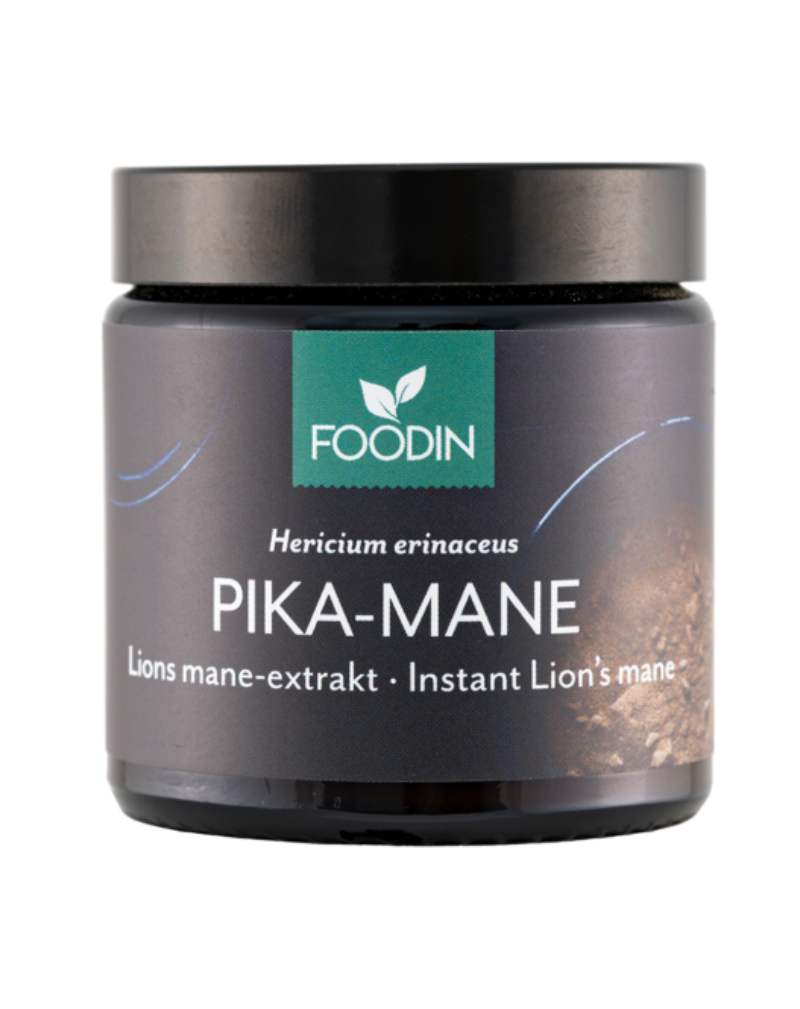 FOODIN Pika-Mane 40&nbsp;g (Lion's mane)